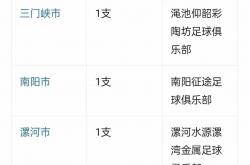 开云APP-包含体育界热门赛事不容错过，球队实力得到认可的词条