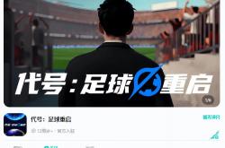 开云下载-足球经理人将球员引进新联赛