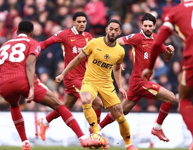 狼队主场凭借进攻取胜,提升战绩排名 狼队主场凭借进攻取胜,提升战绩排名