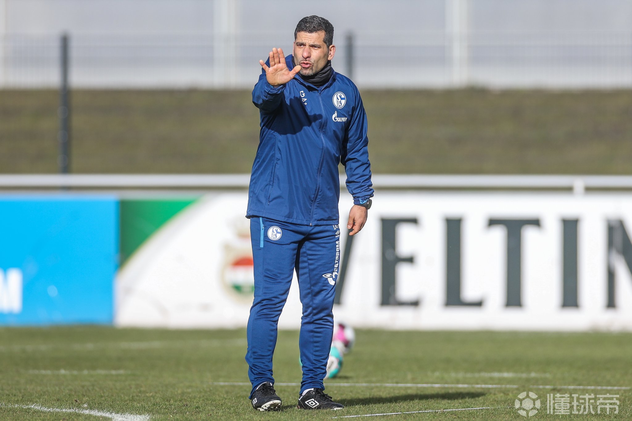 关于沙尔克04客场对战门兴格拉德巴赫的信息